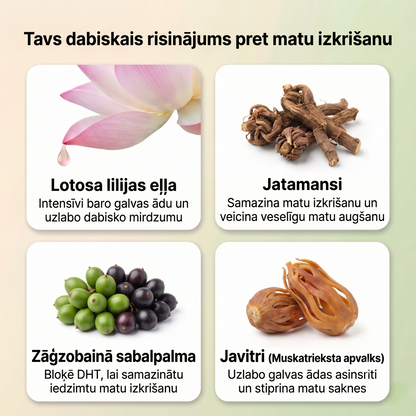 Ajūrvēdas matu seruma eļļa ar 11 augiem stiprākiem matiem, savaldītiem sprogainiem matiem un starojošam spīdumam